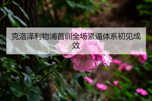 克洛泽利物浦首训全场紧逼体系初见成效