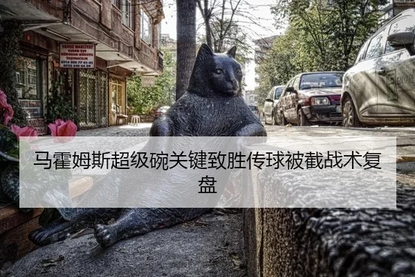 马霍姆斯超级碗关键致胜传球被截战术复盘