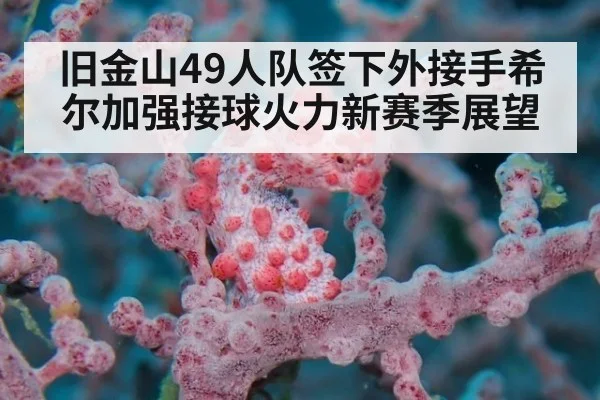 旧金山49人队签下外接手希尔加强接球火力新赛季展望