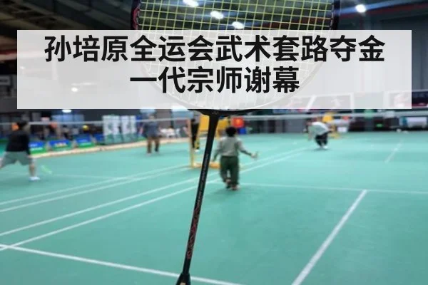 孙培原全运会武术套路夺金 一代宗师谢幕