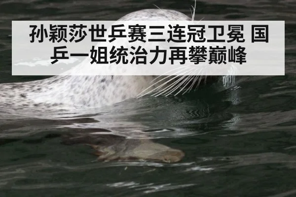 孙颖莎世乒赛三连冠卫冕 国乒一姐统治力再攀巅峰